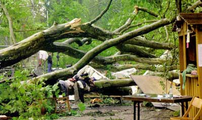 As global warming intensifies, more energy will drive the weather, creating significantly stronger storms. A storm that hit the European continent during the winter of 1999 left $7.5 billion damage in France, Germany and Switzerland. Thousands of centuries-old trees, like these in Paris, were destroyed. It was France's worst storm since record keeping began.